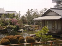 日本の定番の4月の風景