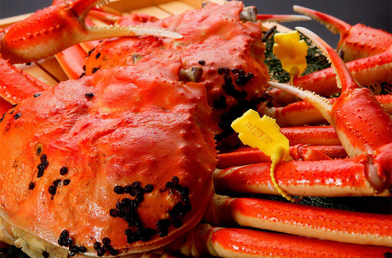 Echizen crab