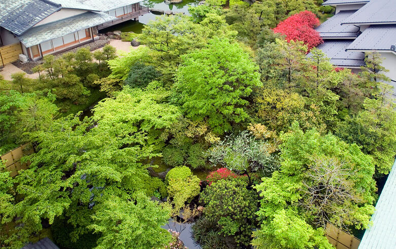 照片库