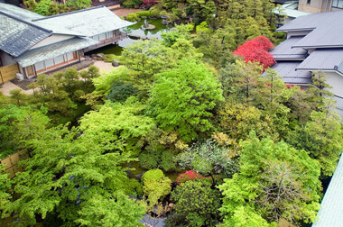 日本庭園