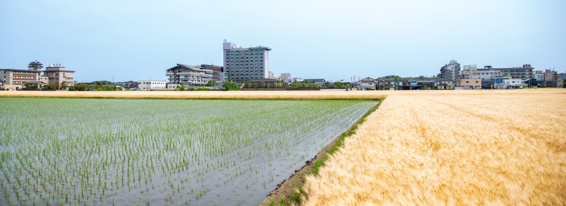 グランディア芳泉×地域文化