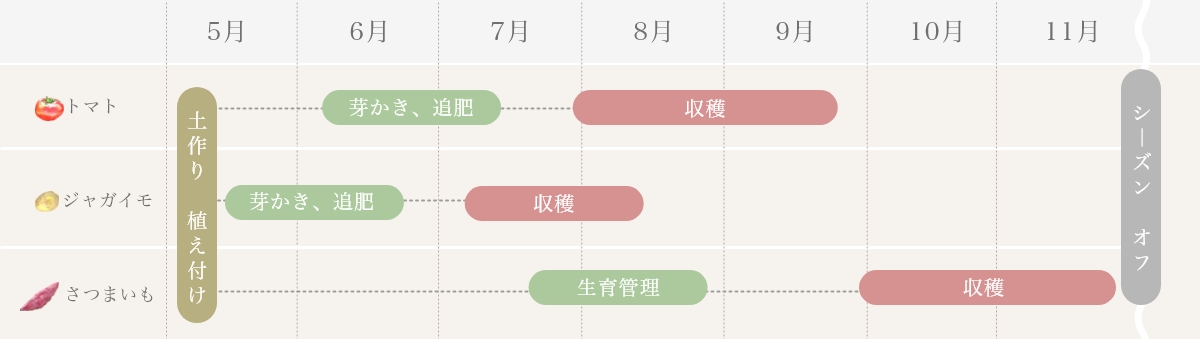 栽培スケジュール