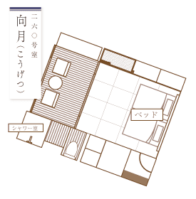 月亮月亮