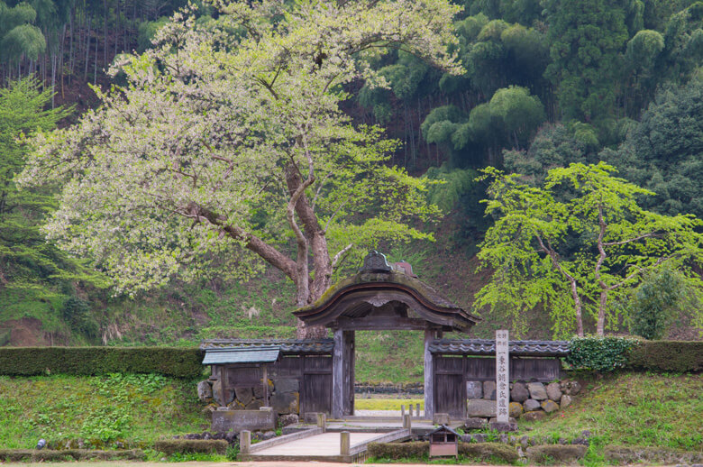 Ichijodani Asakura remains