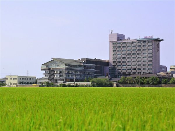 初夏の田園風景