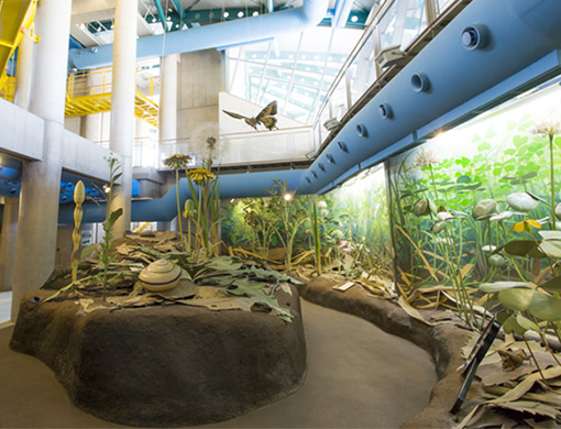 福井縣兒童科學館（Angel Land Fukui）