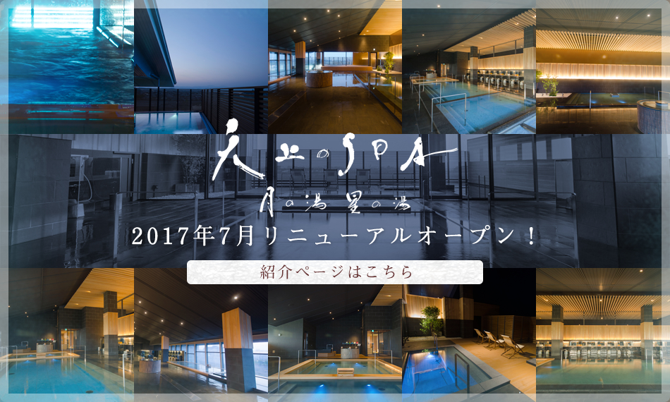 VSPA 2017N7j[AI[vI